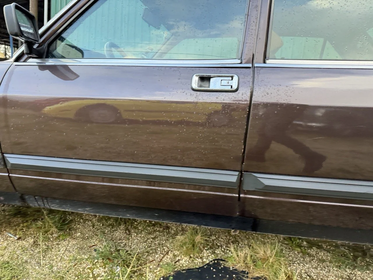 IMG_5252 – grande.jpeg