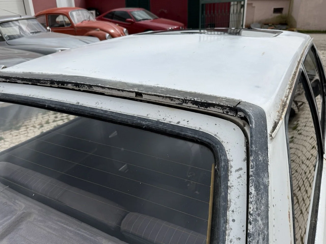 IMG_8592 – grande.jpeg