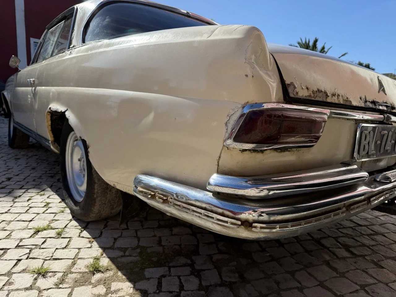 IMG_7047 – grande.jpeg