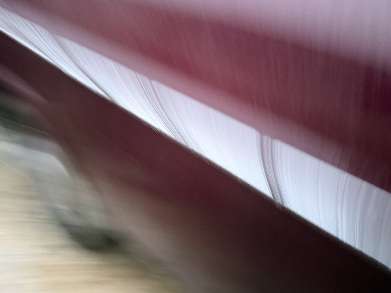 IMG_0303 – grande.jpeg