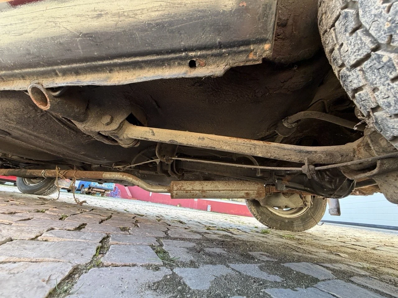 IMG_2461 – grande.jpeg