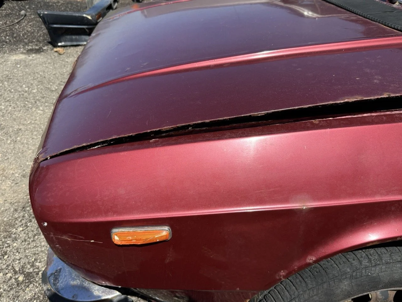 IMG_0956 – grande.jpeg