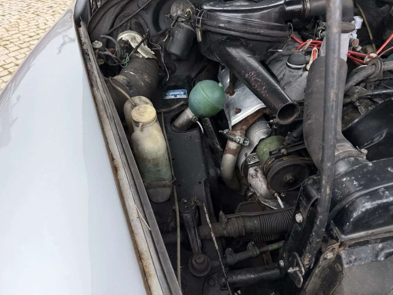 IMG_3735 – grande.jpeg