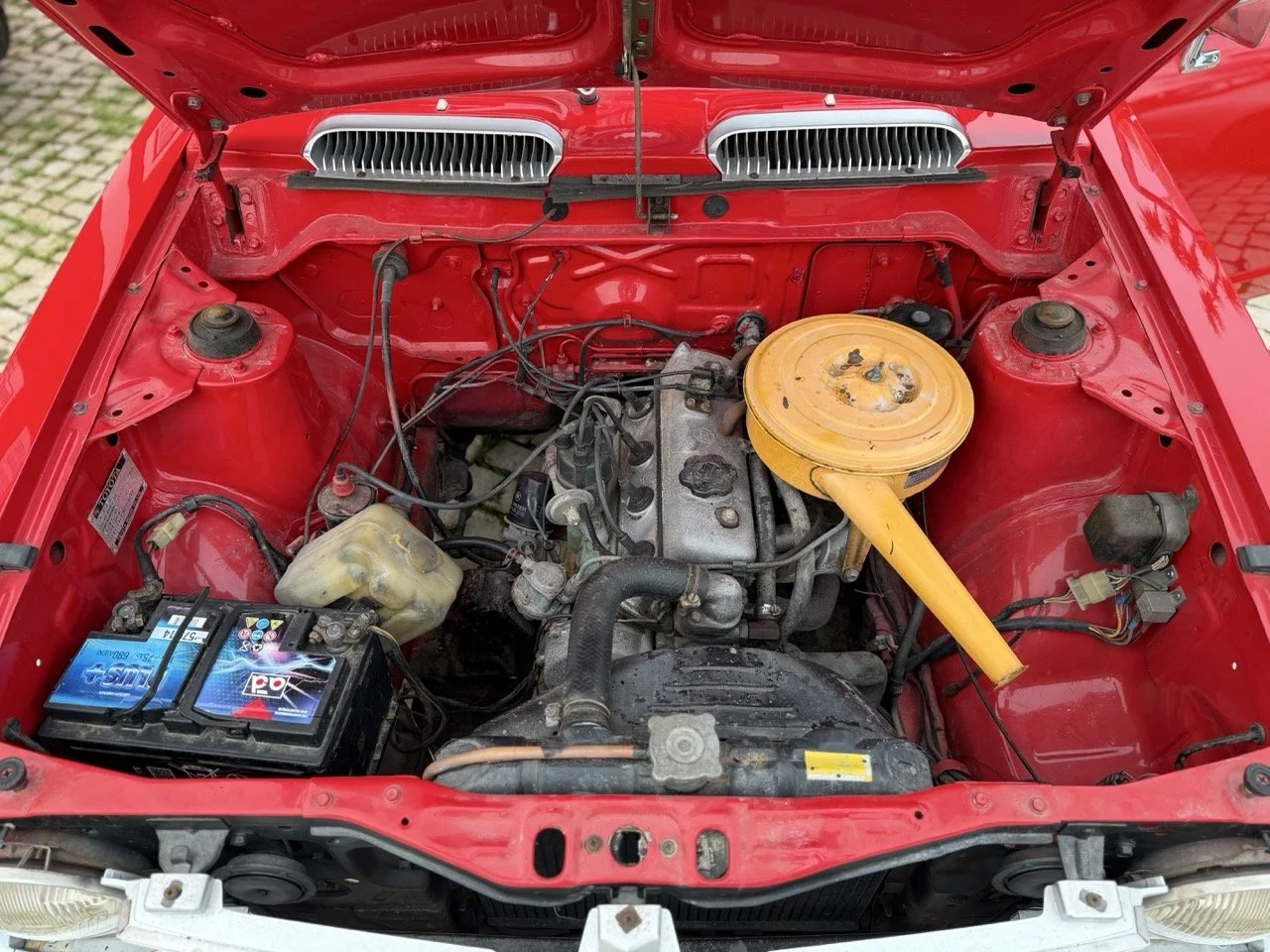 IMG_8255 – grande.jpeg