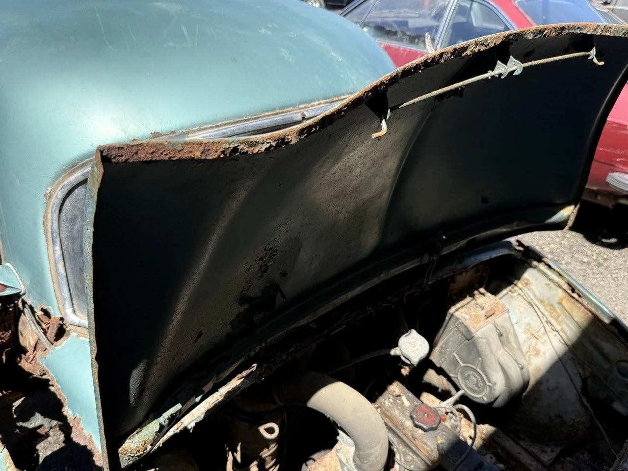 IMG_0870 – grande.jpeg