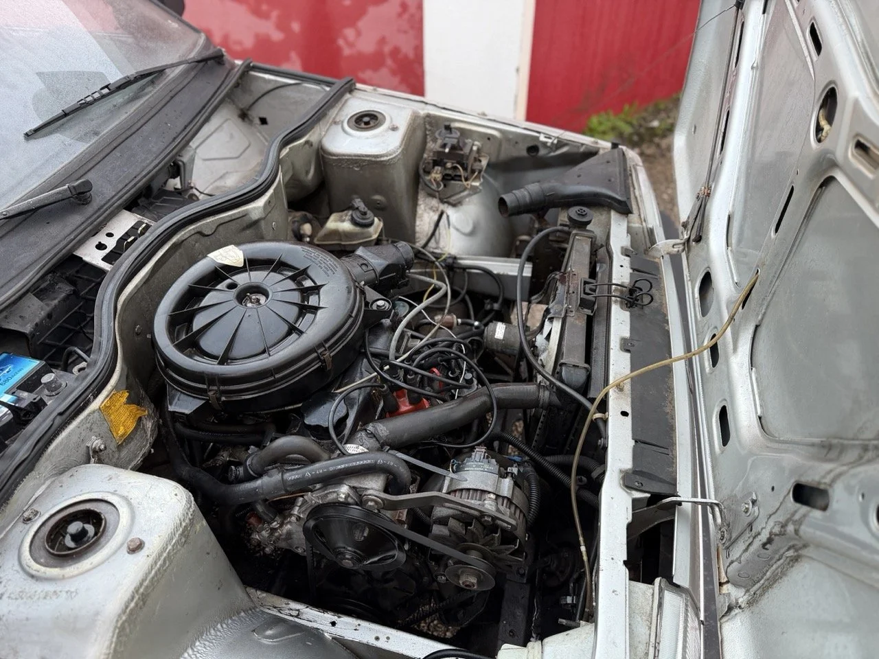 IMG_4677 – grande.jpeg