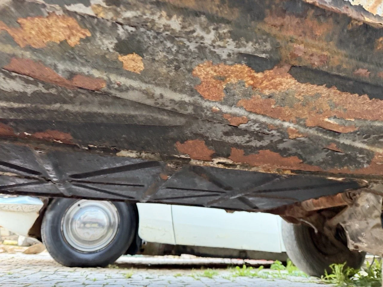 IMG_0841 – grande.jpeg