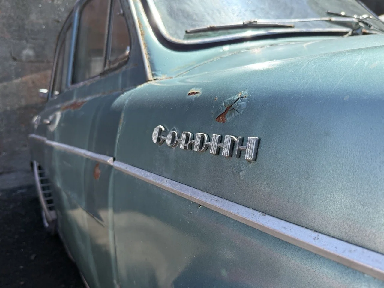 IMG_0883 – grande.jpeg