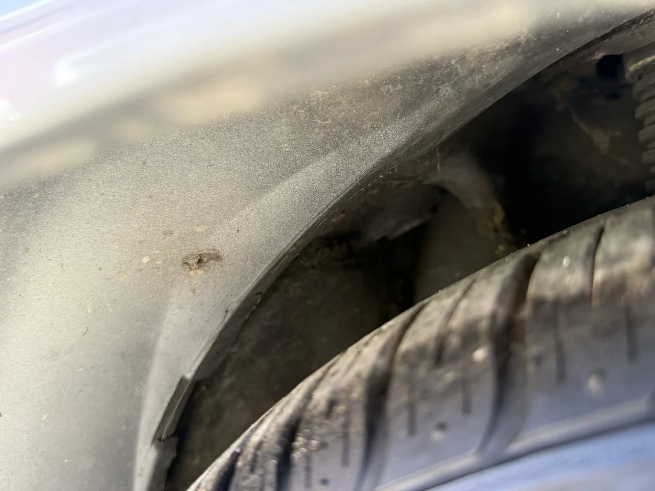 IMG_2638 – grande.jpeg