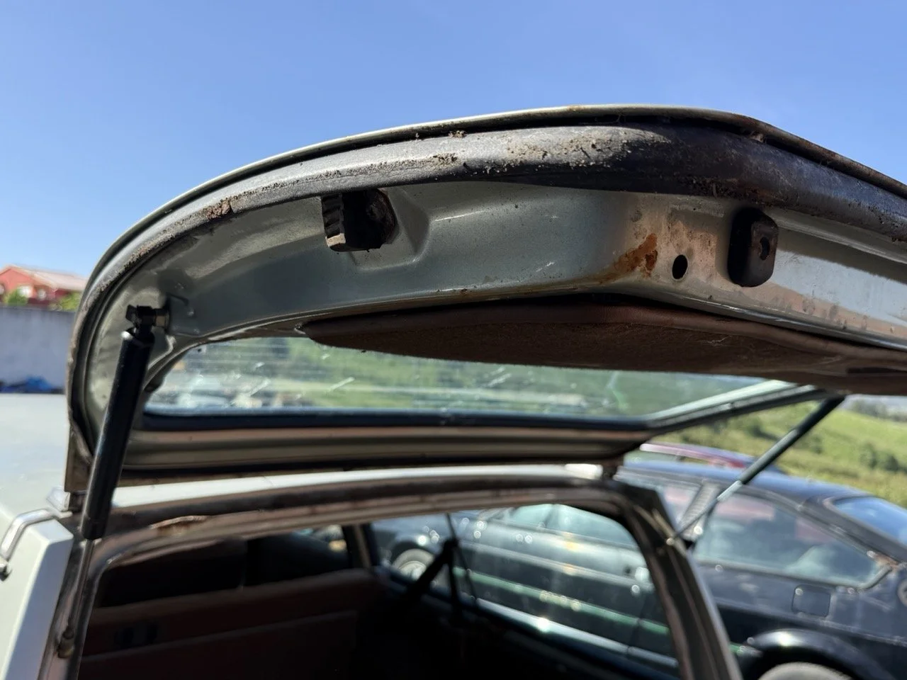 IMG_1193 – grande.jpeg