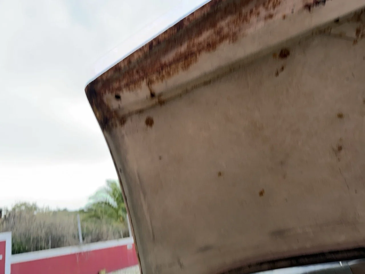 IMG_5954 2 – grande.jpeg