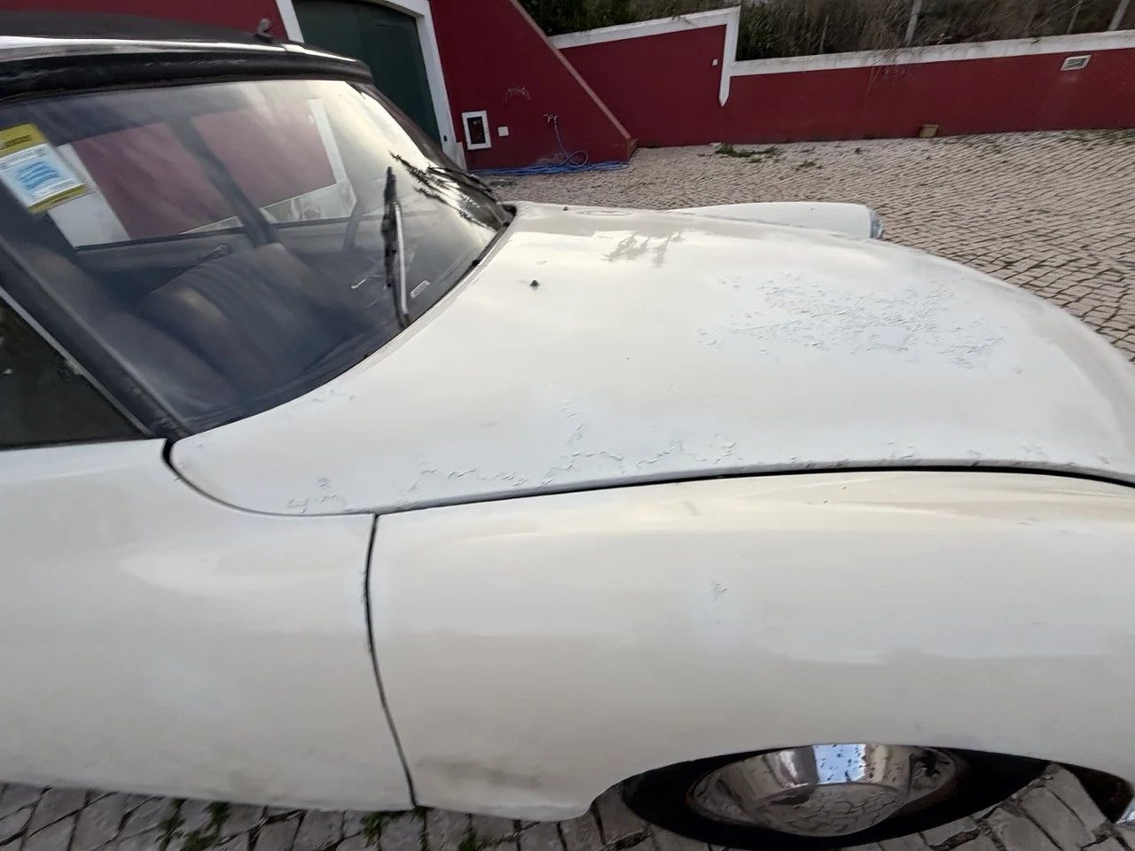 IMG_5984 2 – grande.jpeg