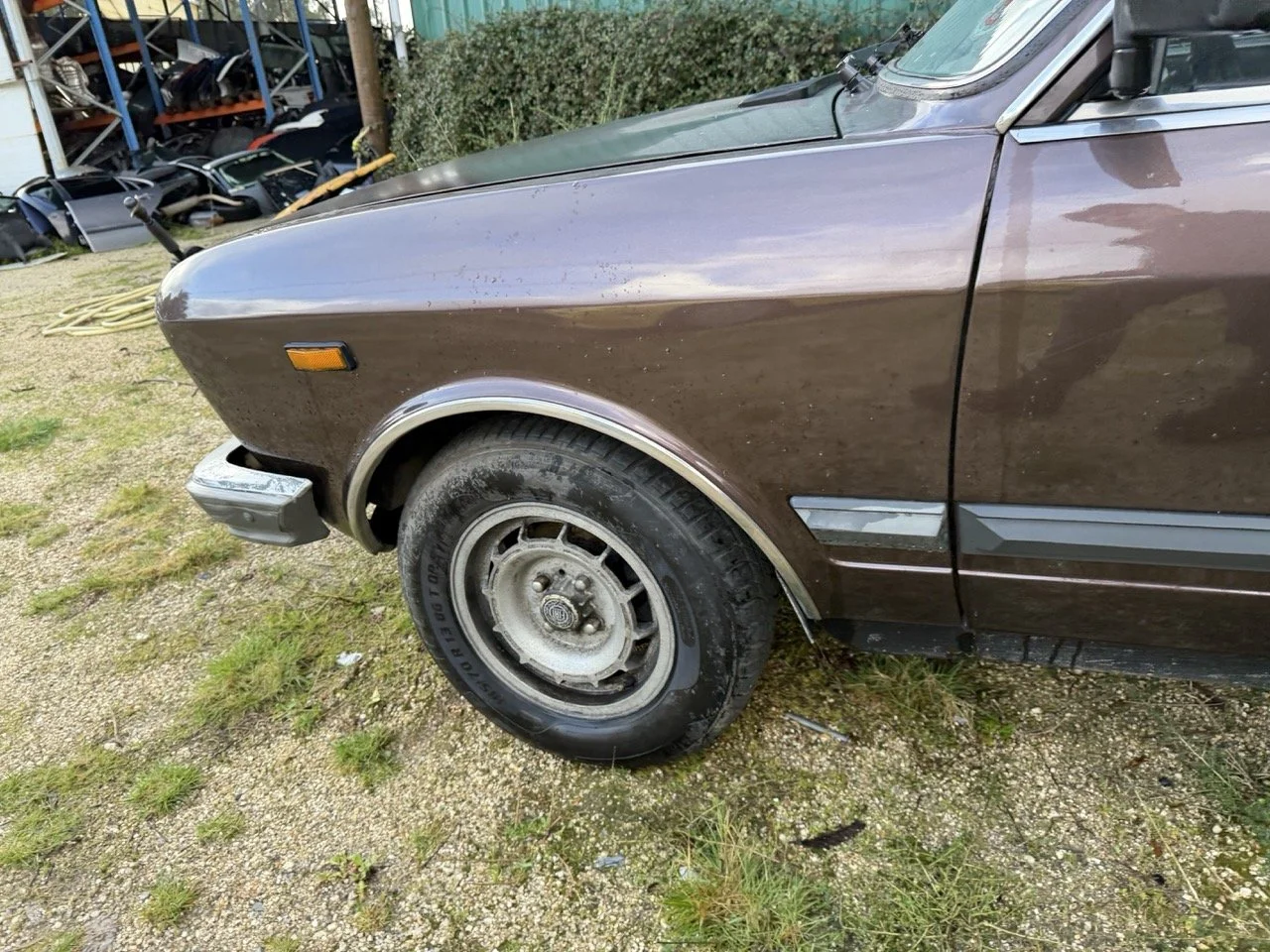 IMG_5253 – grande.jpeg