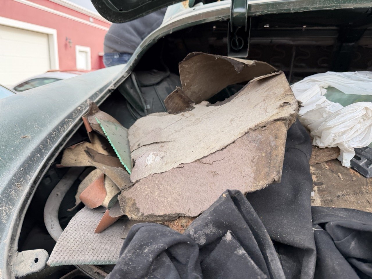 IMG_1806 – grande.jpeg