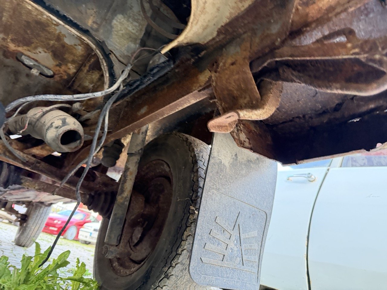 IMG_0871 – grande.jpeg