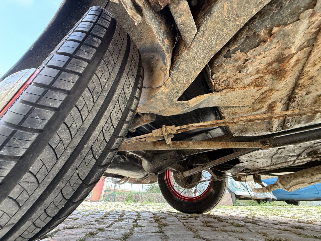 IMG_3741 – grande.jpeg