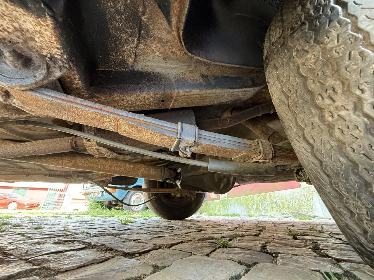 IMG_3570 – grande.jpeg