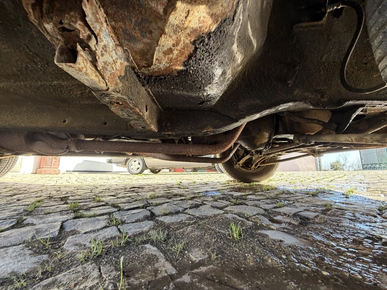 IMG_1894 – grande.jpeg