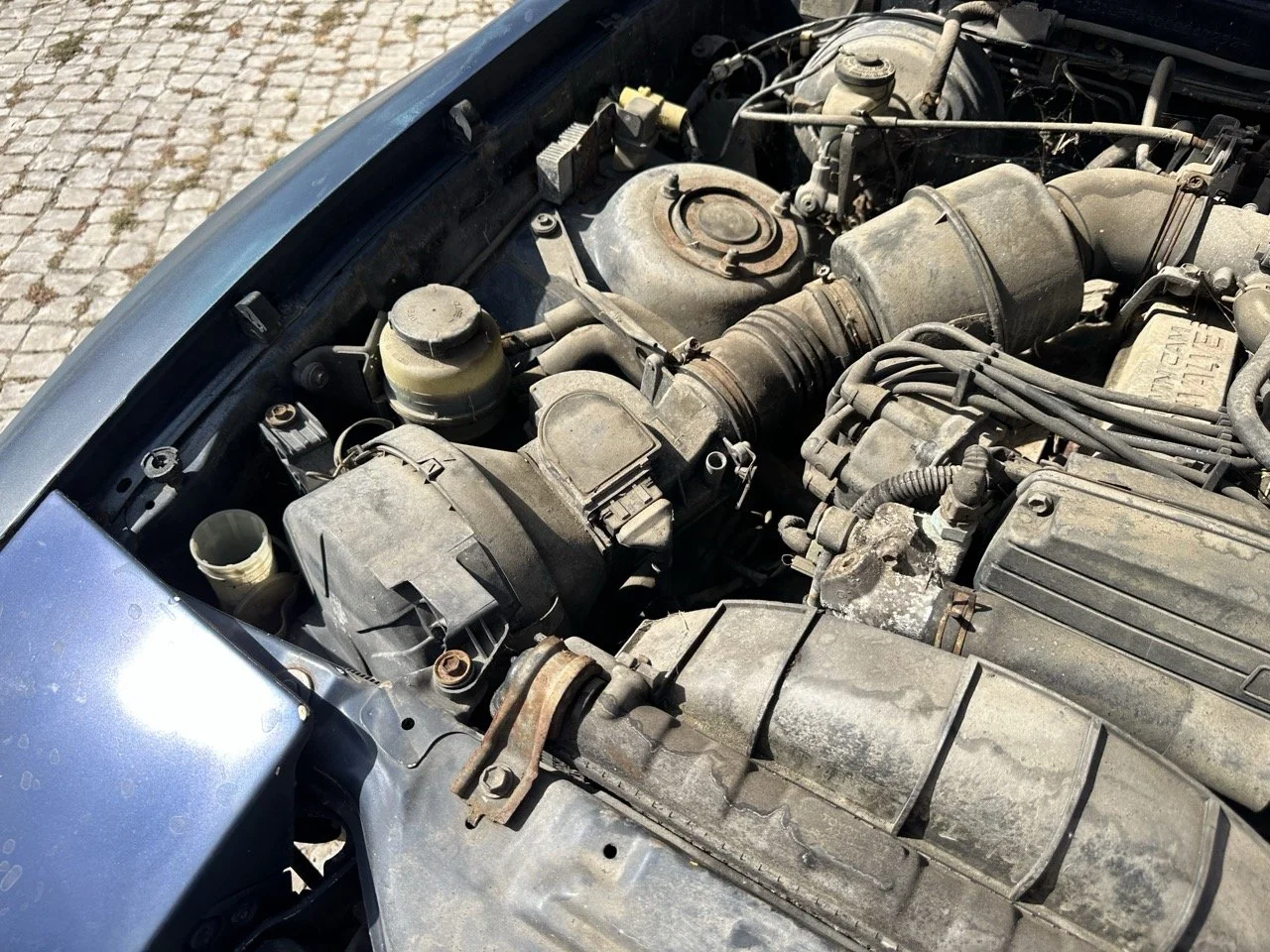 IMG_7208 – grande.jpeg