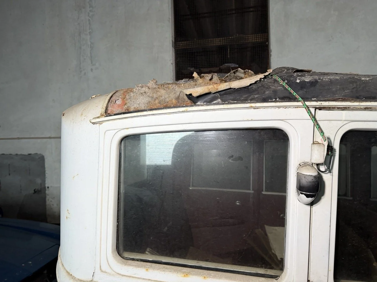 IMG_2461 – grande.jpeg