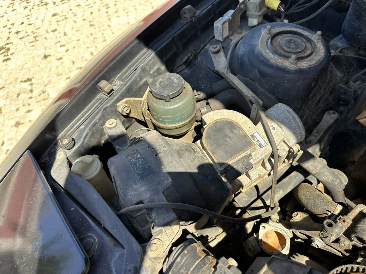 IMG_3079 – grande.jpeg