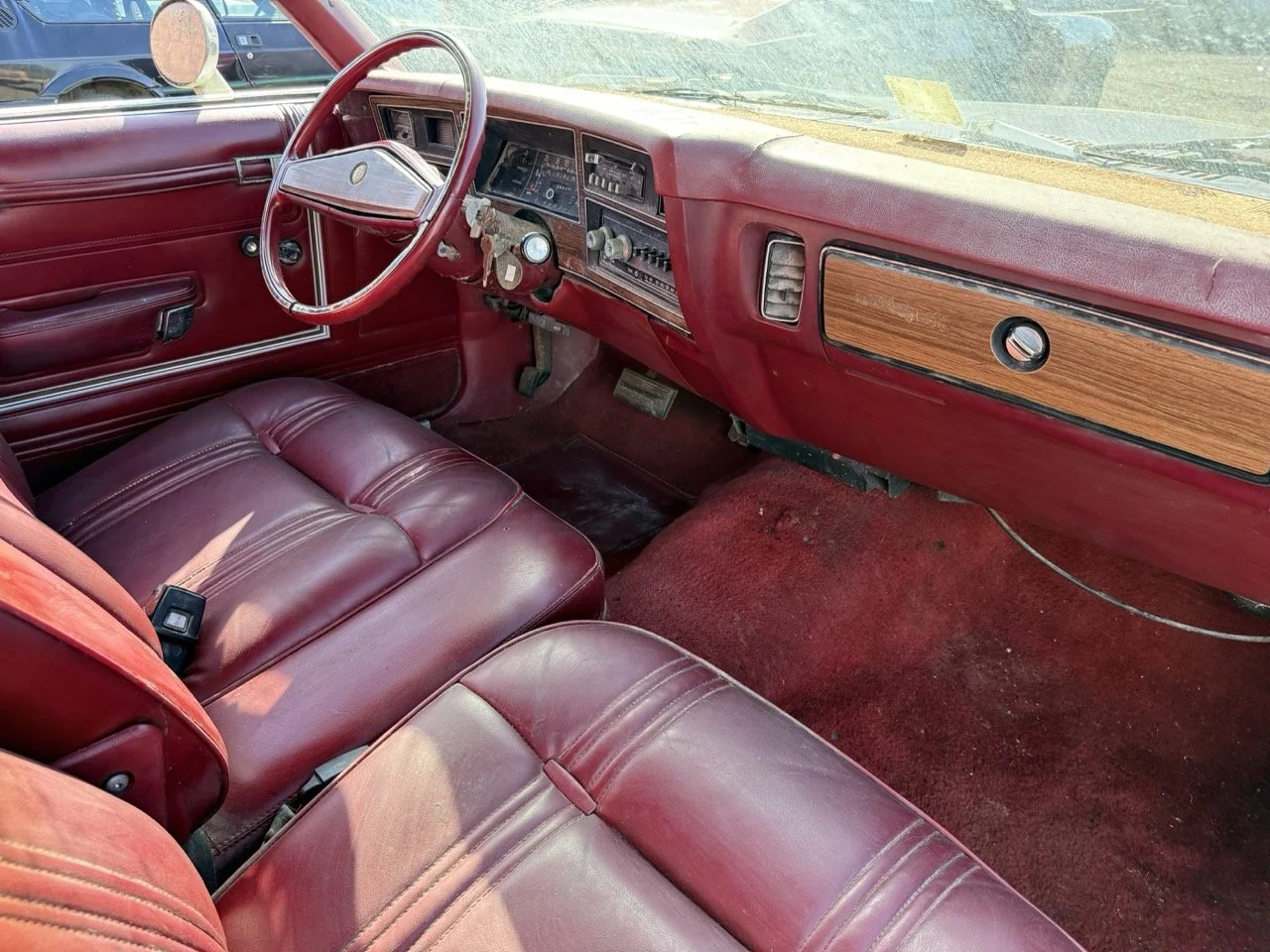 IMG_3032 – grande.jpeg