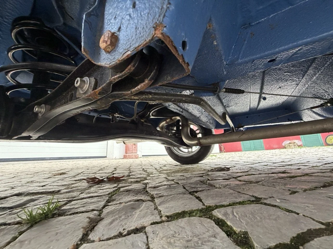 IMG_6130 – grande.jpeg