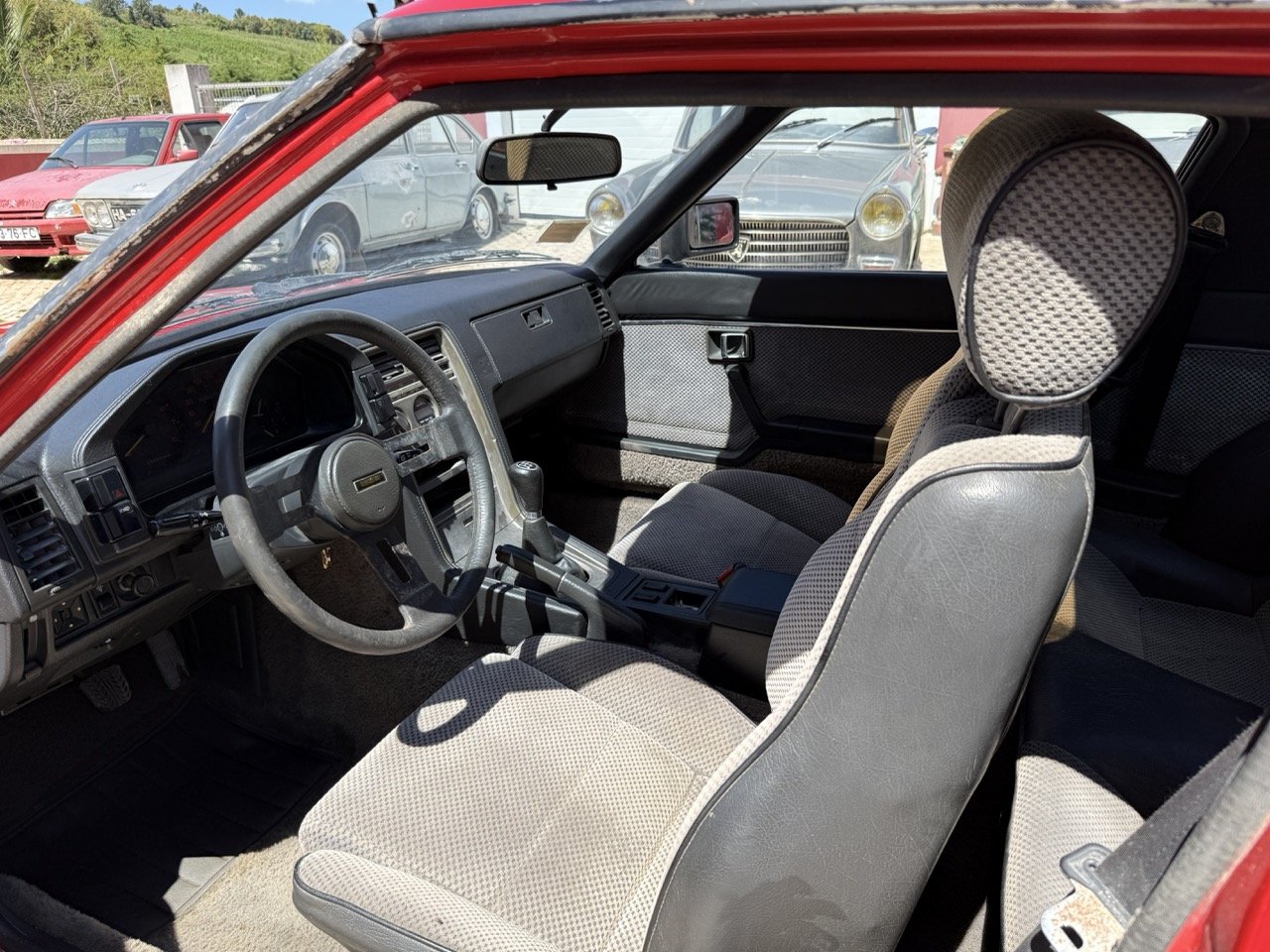 IMG_2030 – grande.jpeg