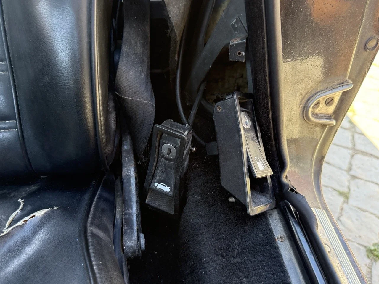 IMG_2189 – grande.jpeg