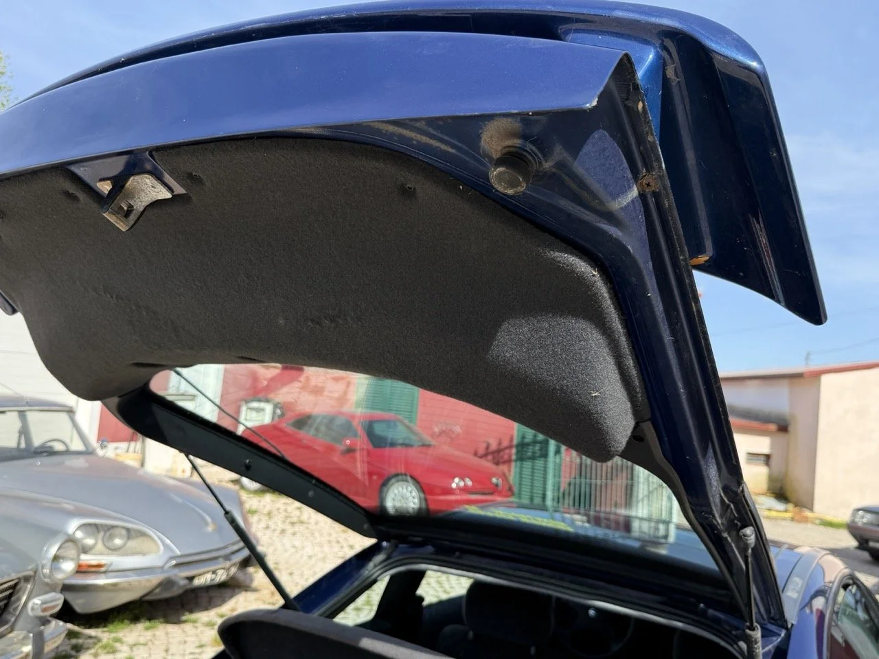 IMG_2468 – grande.jpeg