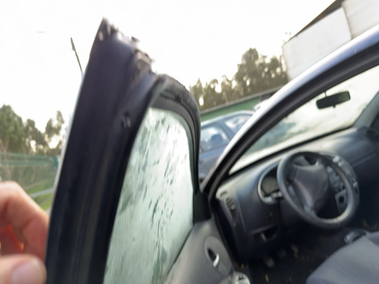 IMG_5307 – grande.jpeg