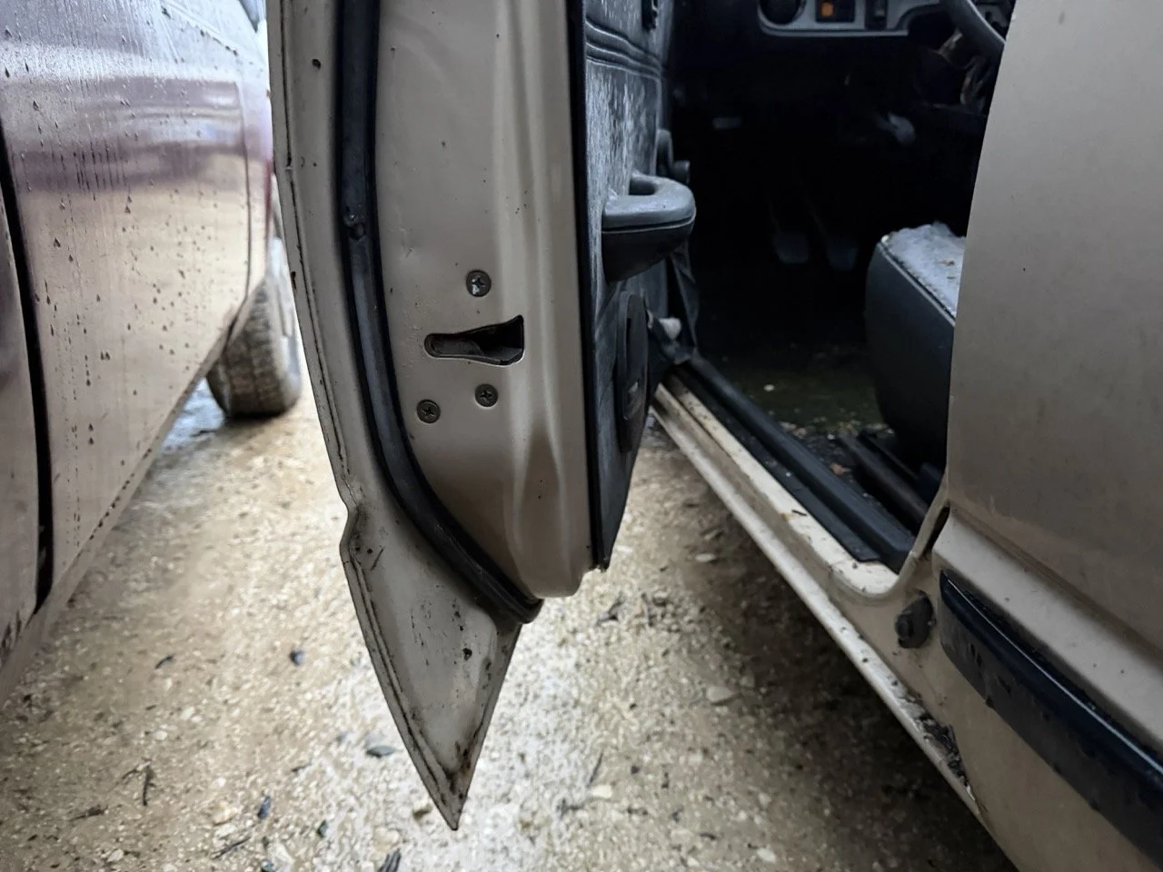 IMG_0239 – grande.jpeg