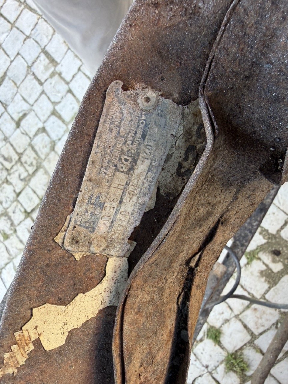 IMG_7101 – grande.jpeg