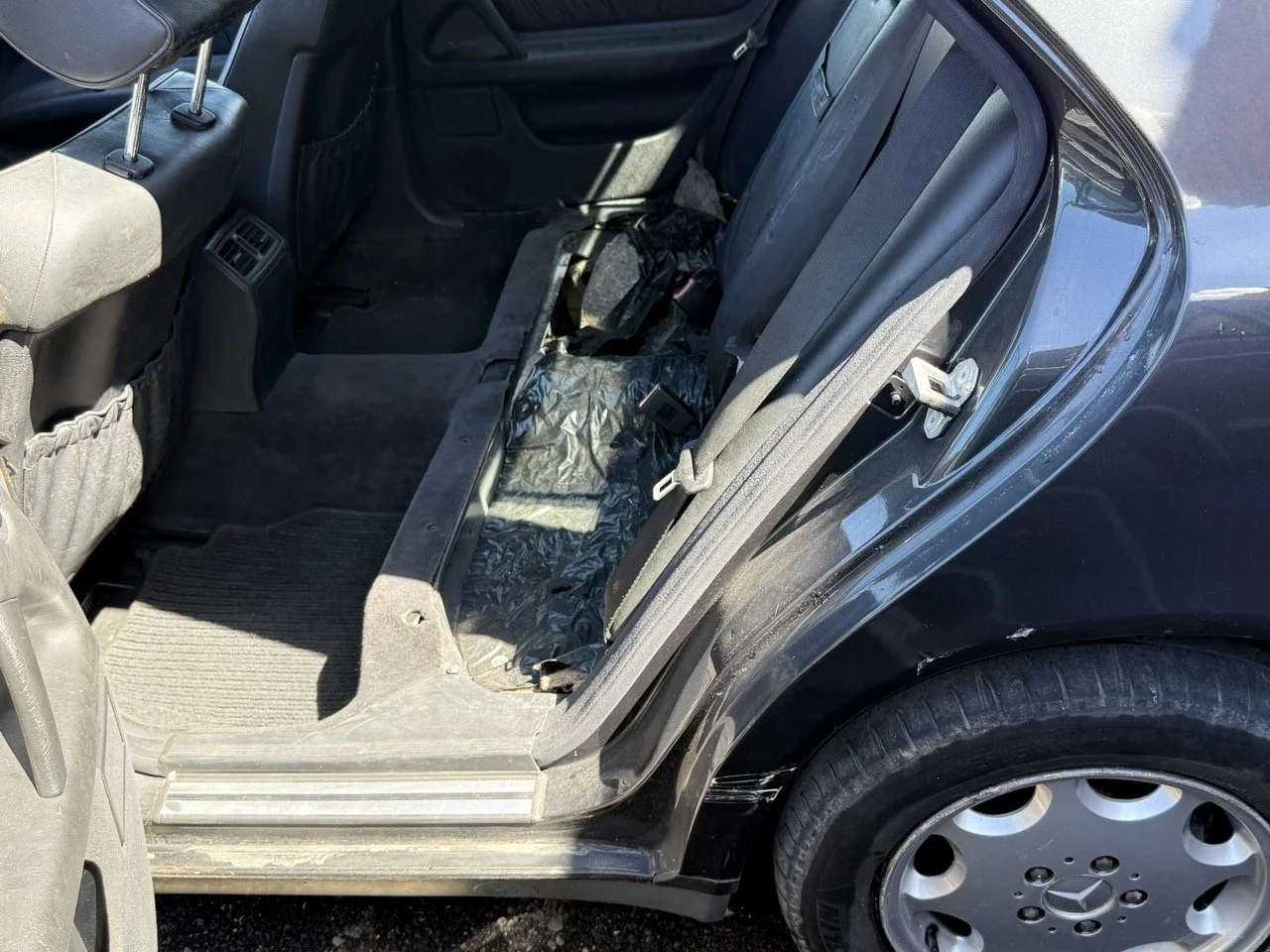 IMG_1747 – grande.jpeg