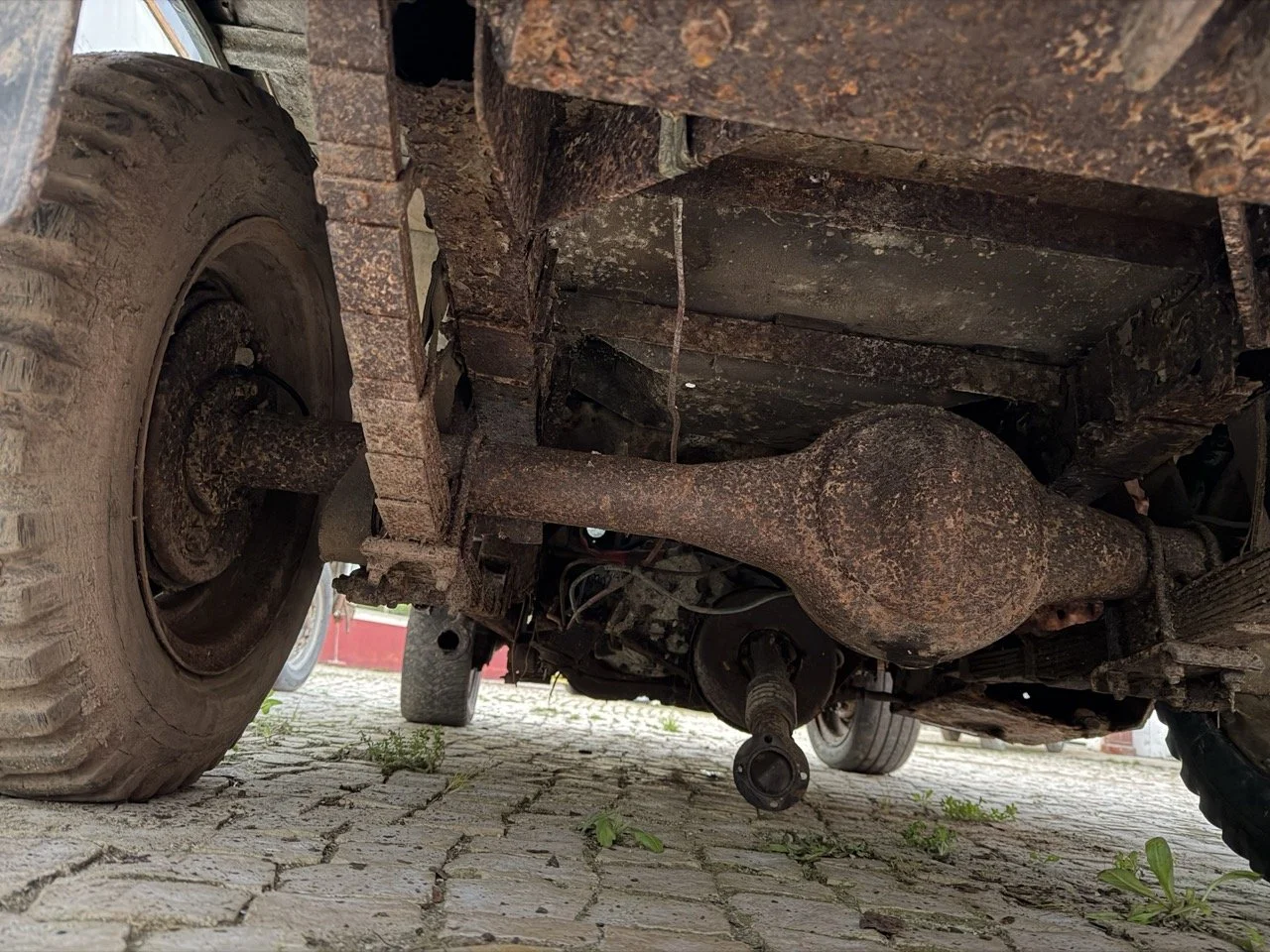 IMG_7474 – grande.jpeg