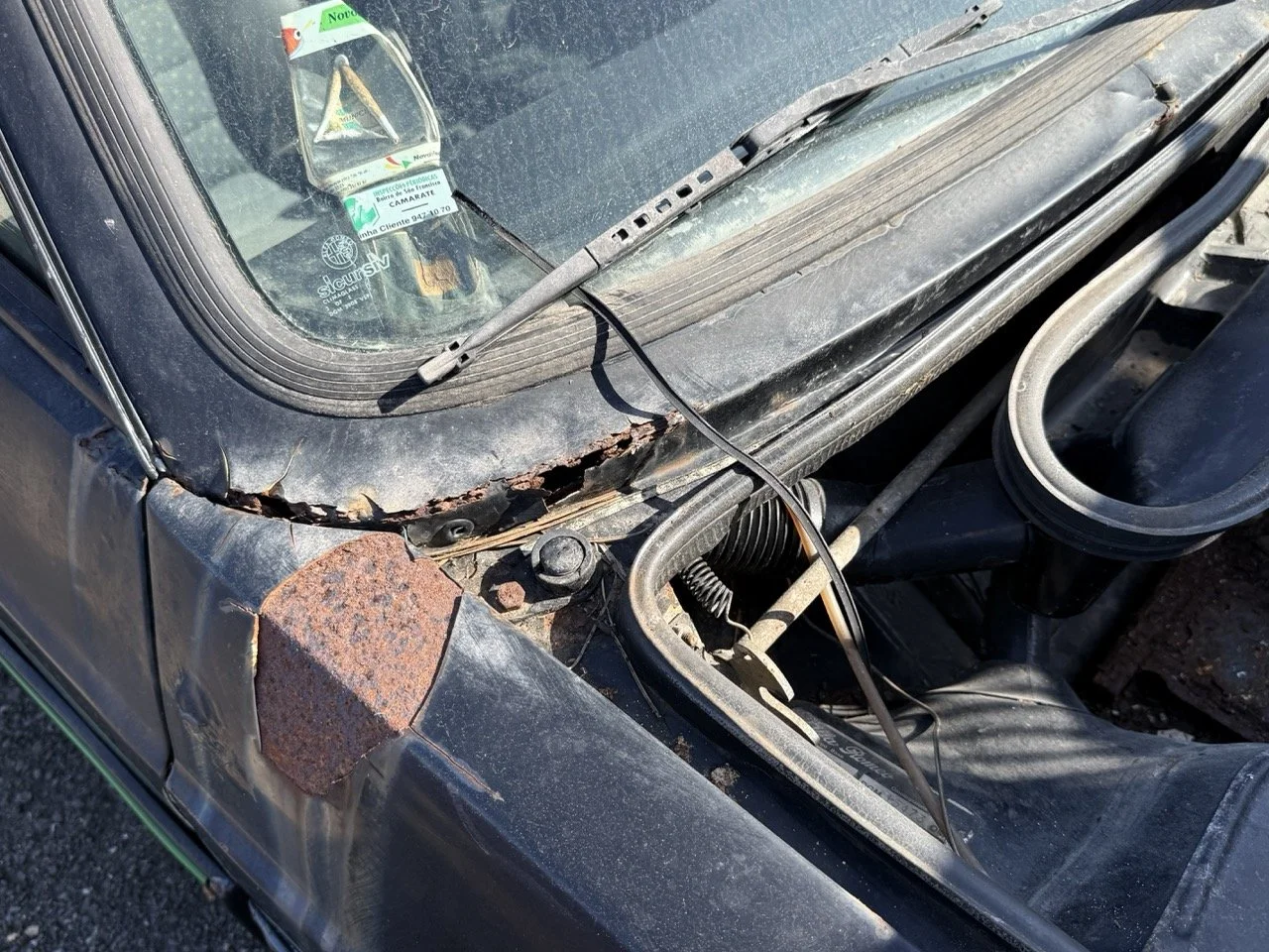 IMG_2935 – grande.jpeg