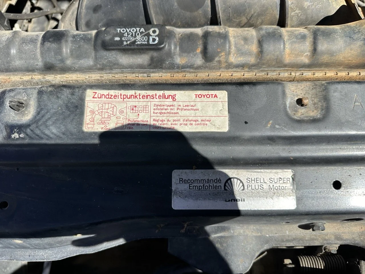 IMG_3066 – grande.jpeg