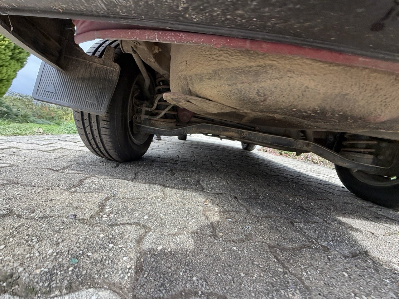 IMG_3273 – grande.jpeg