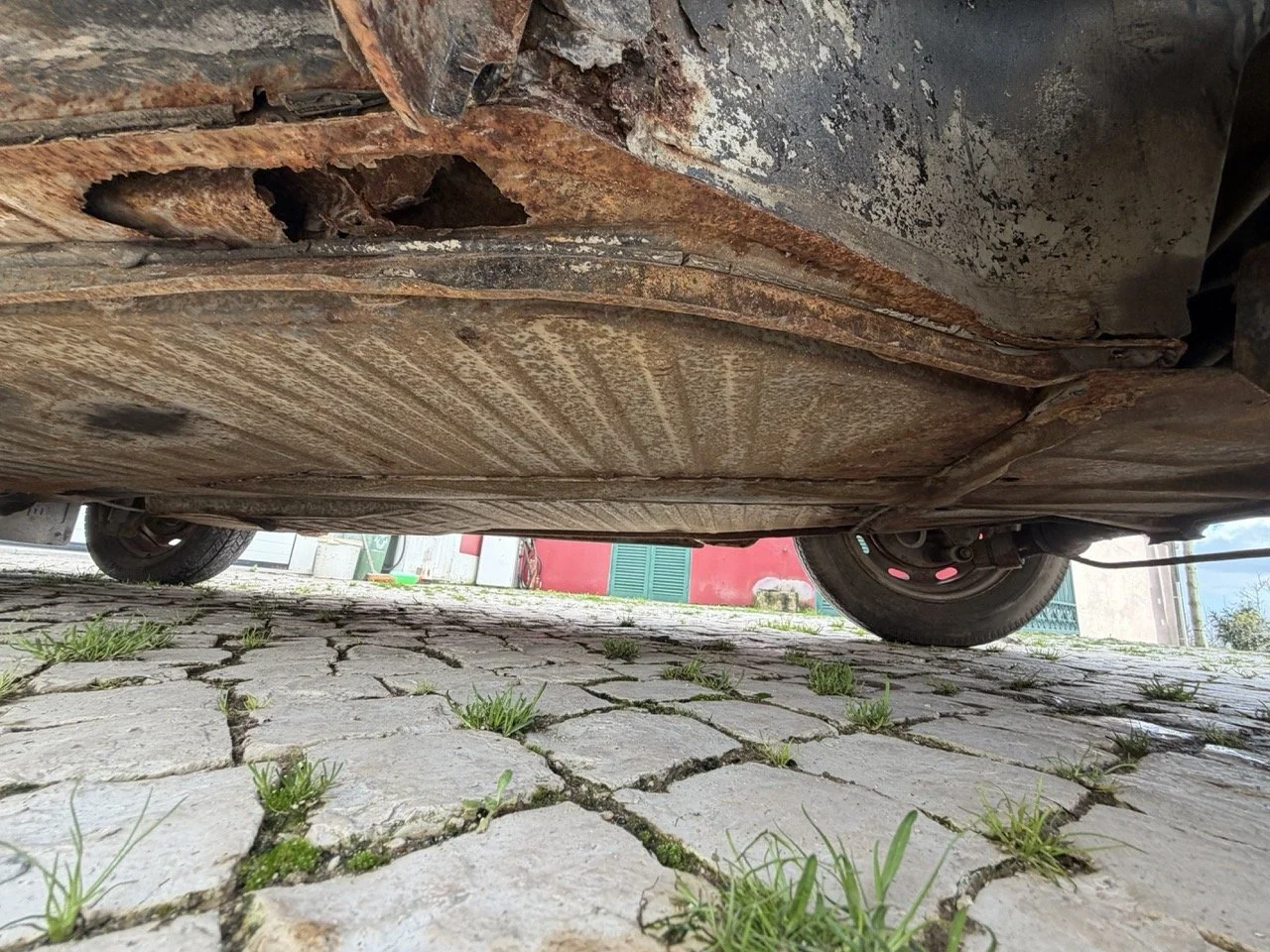 IMG_8679 – grande.jpeg