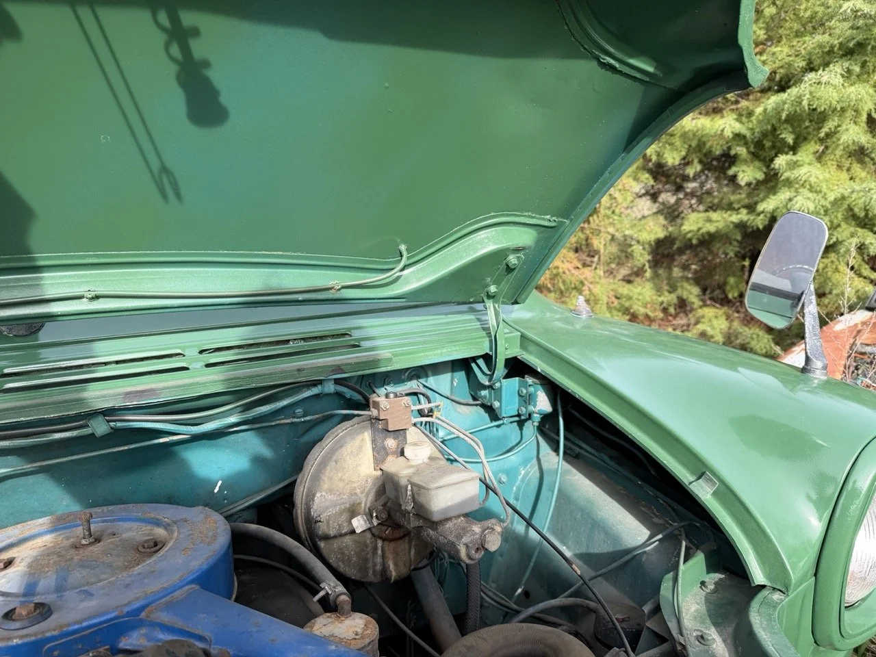 IMG_3892 – grande.jpeg