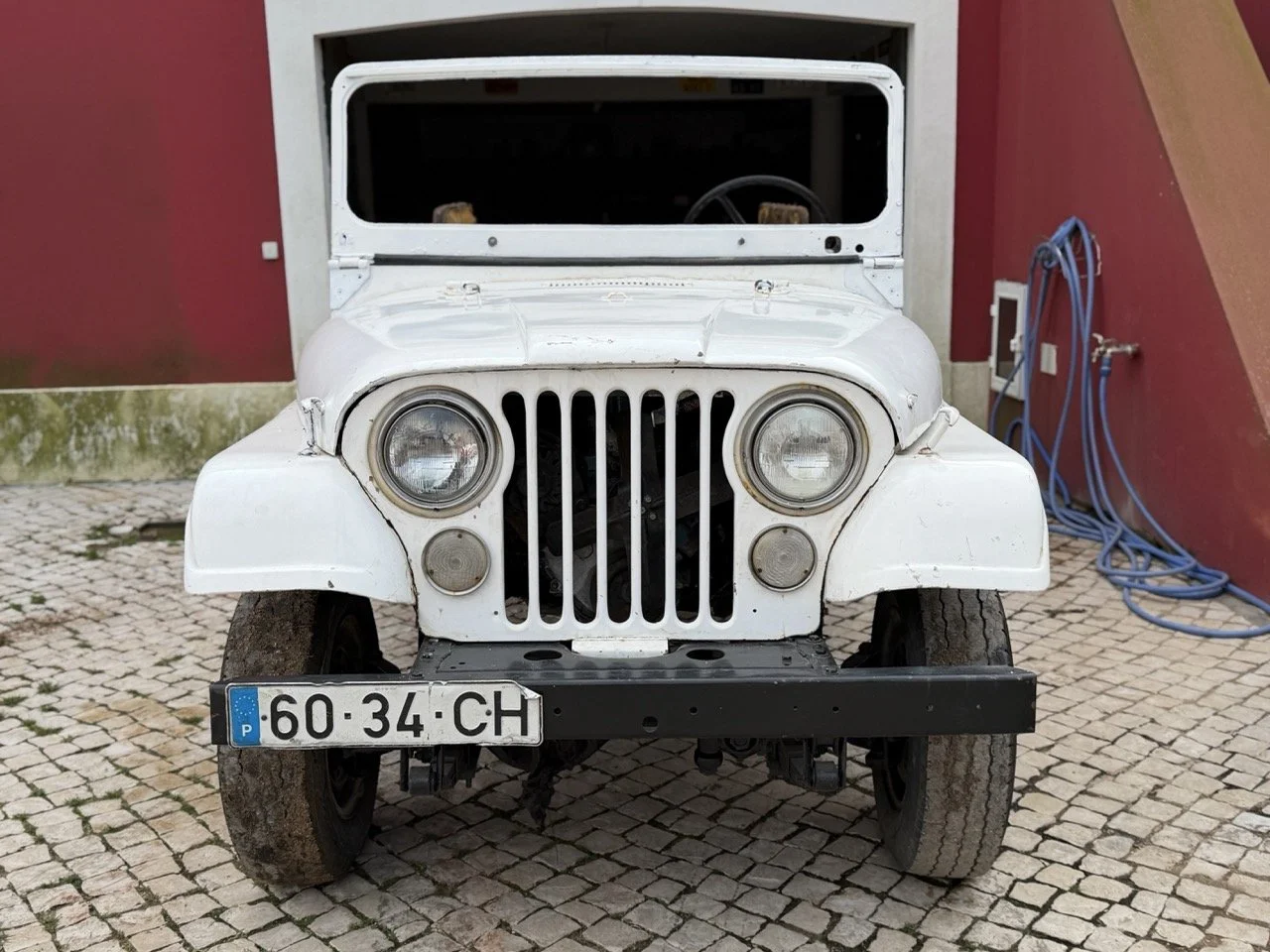 IMG_3891 – grande.jpeg