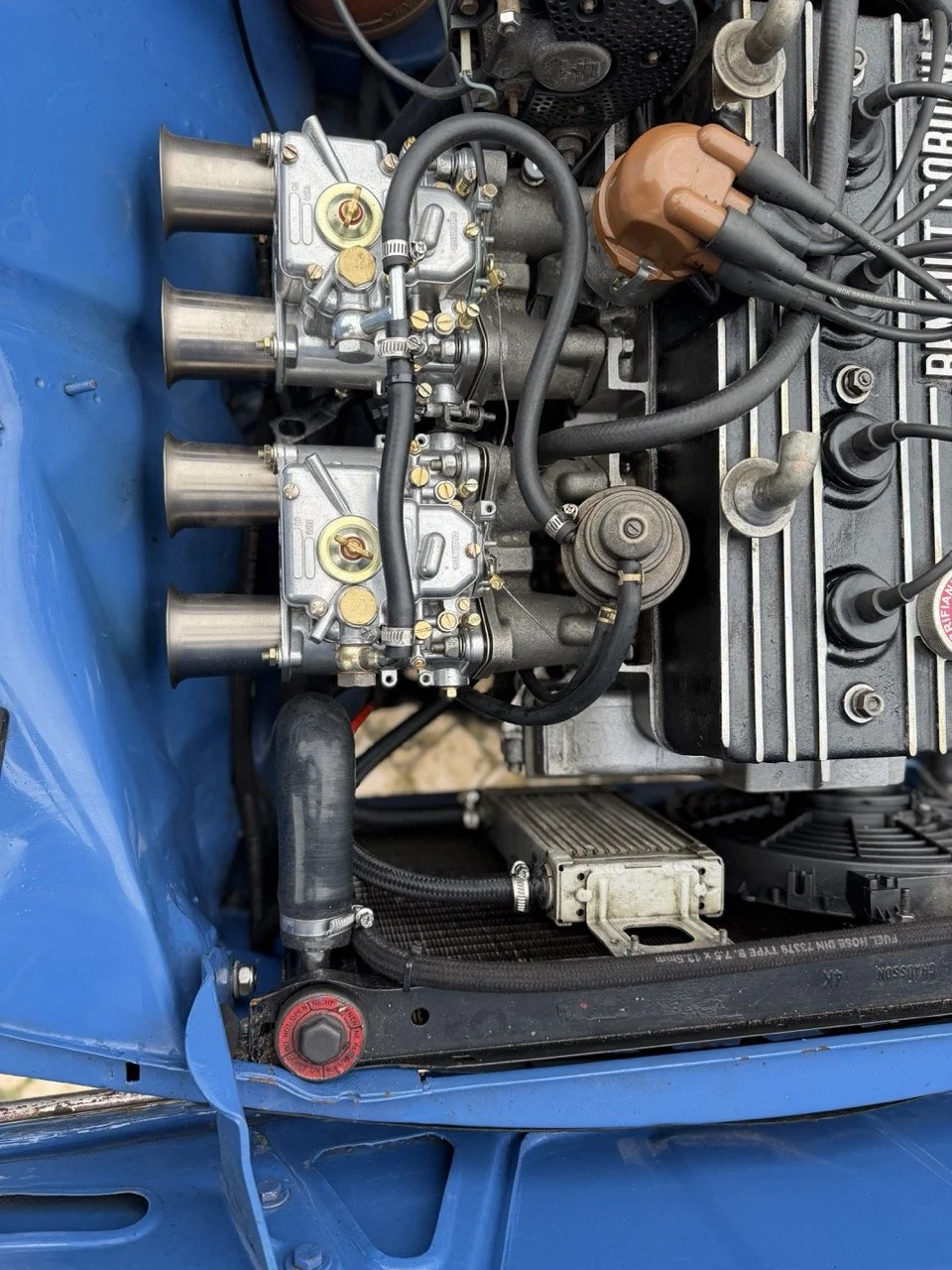 IMG_6034 – grande.jpeg