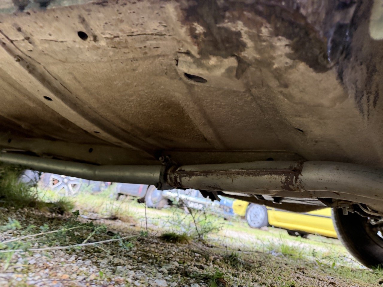 IMG_5263 – grande.jpeg