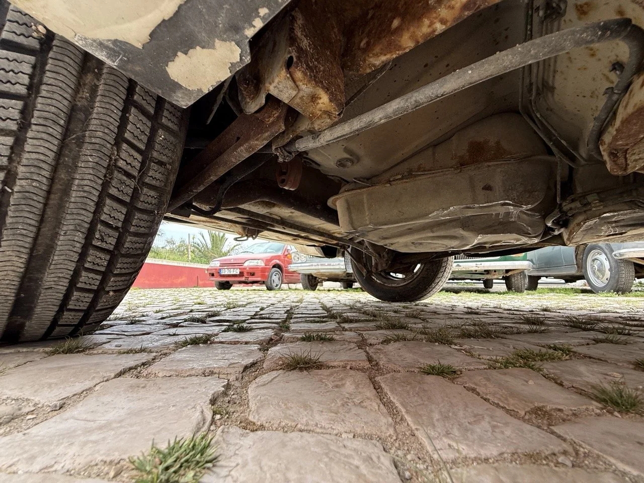 IMG_8636 – grande.jpeg