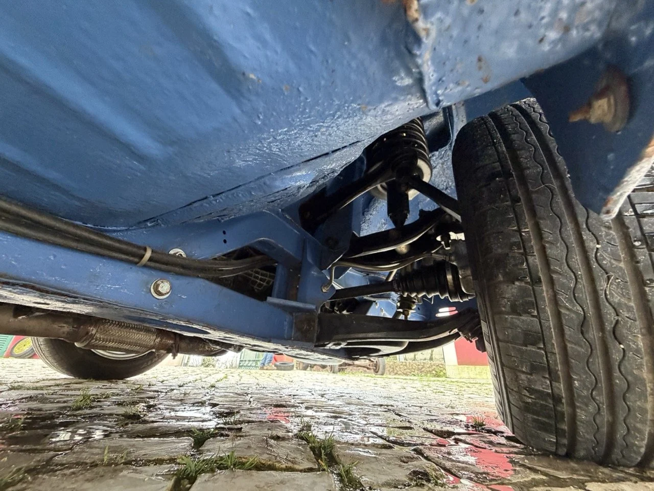 IMG_6137 – grande.jpeg