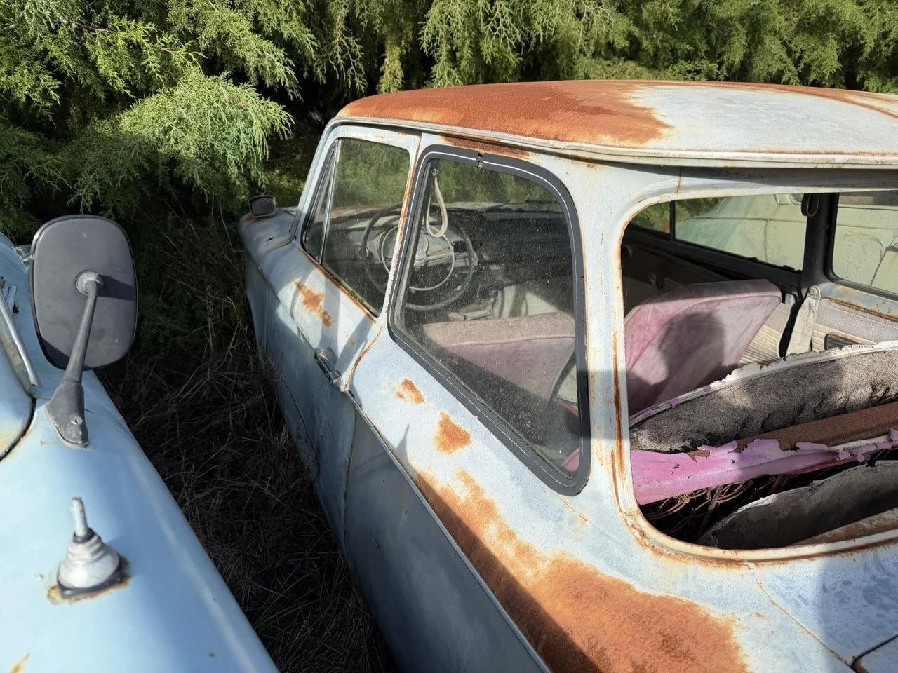 IMG_8550 – grande.jpeg