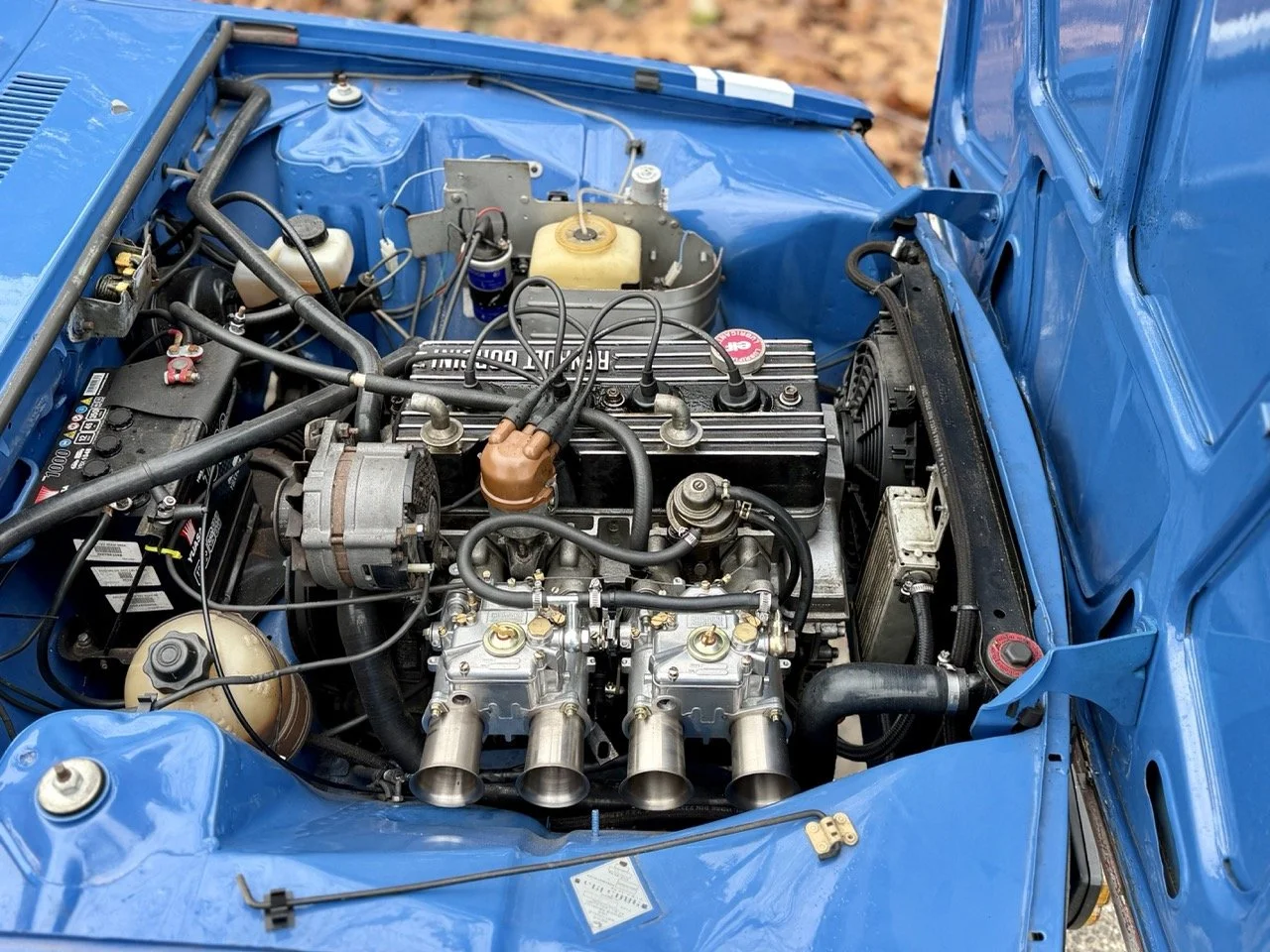 IMG_6217 2 – grande.jpeg