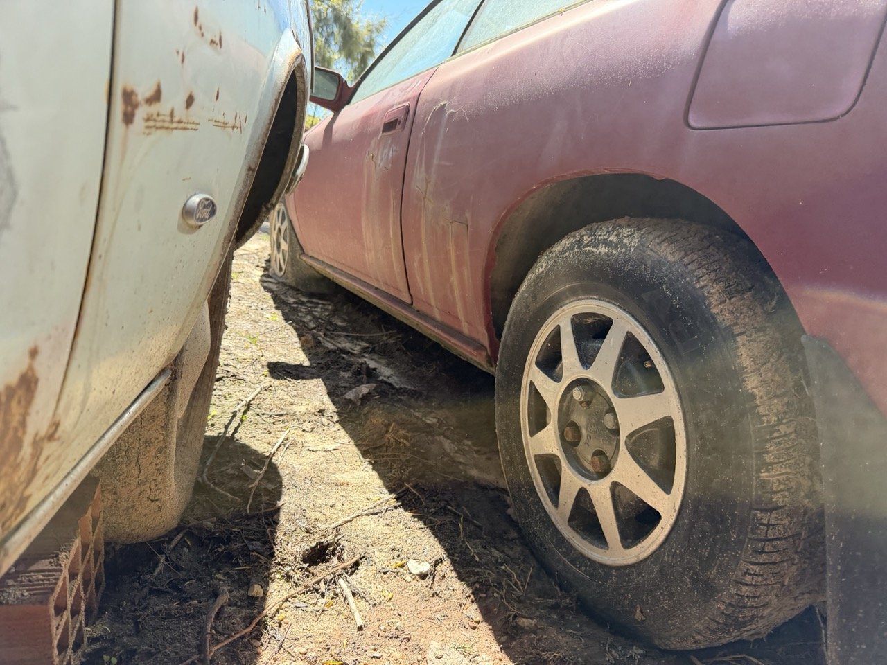 IMG_7641 – grande.jpeg