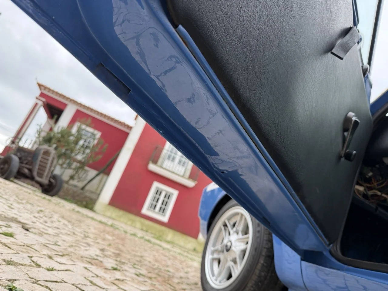 IMG_6067 – grande.jpeg