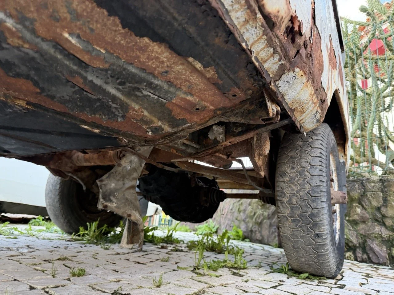 IMG_0840 – grande.jpeg